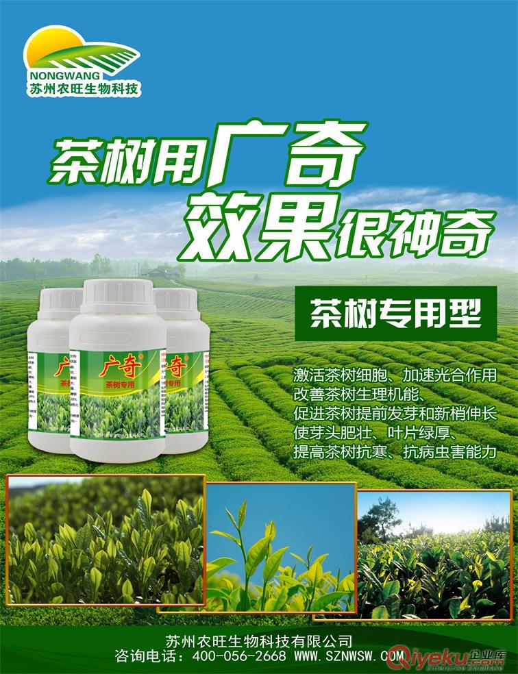 茶樹專用葉面肥 茶樹葉面肥廠家 茶樹葉面肥價格-葉片綠厚抗病優(yōu)質(zhì)高產(chǎn)原始圖片2