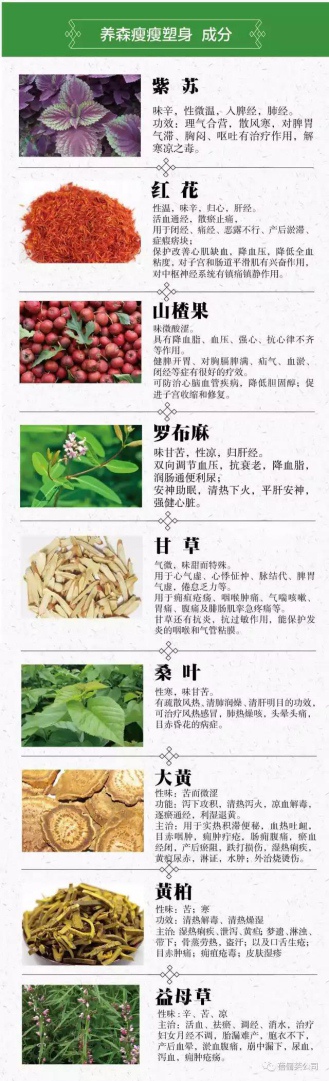 養森瘦瘦包的中藥成份