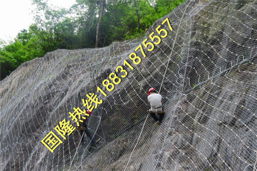 浙江GBE-1000被動防護網單價
