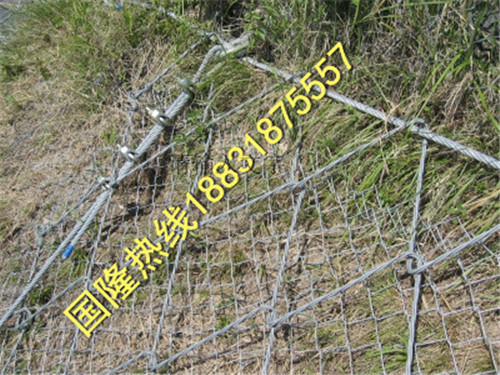 黑龍江GSS2A主動防護網得多少錢