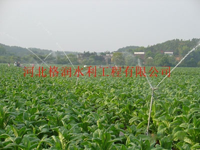 內蒙大噴頭批發 大噴頭廠家批發原始圖片3