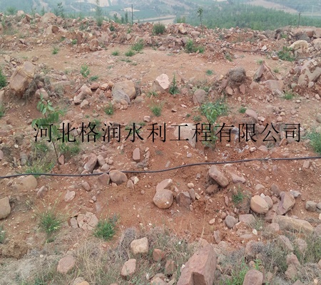 四川果樹滴灌批發 果樹小管出流設備價格低廉原始圖片2