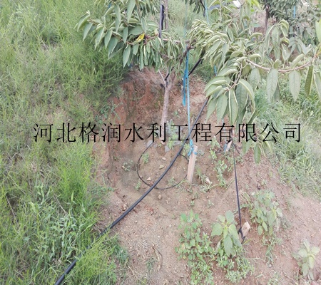 四川果樹小管出流價格行情 果樹滴灌設(shè)備生產(chǎn)廠家