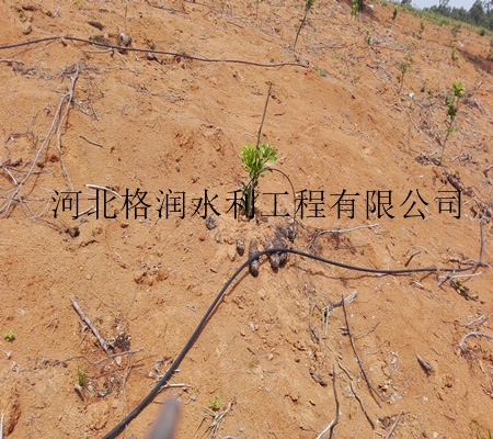 灌溉PE管節水設備四川果樹滴灌系列原始圖片3