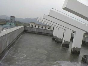 惠州市洋里村屋面漏雨滲水找歐耐克防水補(bǔ)漏公司原始圖片2