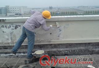 惠州市歐耐克防水補漏公司白花鎮品牌堵漏公司原始圖片2