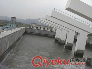 惠州市歐耐克防水補漏工程有限公司是不是全國sd品牌？原始圖片3