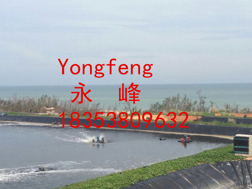 海南文昌翁田高位池養(yǎng)蝦黑膜供應(yīng)防滲膜哥聶圣珍