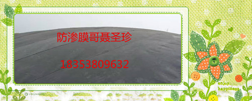 安徽滁州黑膜沼氣池建設設計聯系防滲膜哥聶圣珍原始圖片2