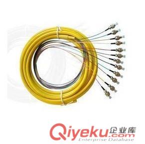 FC電信級12芯單模束狀尾纖各種接口光纖跳線ODF尾纖原始圖片2
