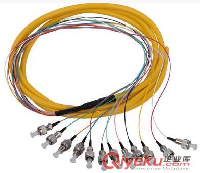 FC電信級12芯單模束狀尾纖各種接口光纖跳線ODF尾纖原始圖片3