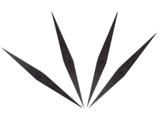 寬刺芒刺線廠家供應(yīng)