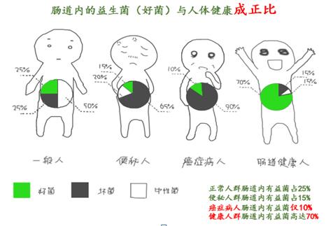 海益雅肠道的保护者，面向全国招商