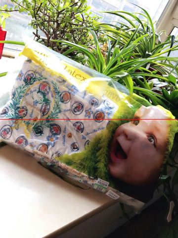 貴州泰國素萬乳膠枕聯系電話18778397222原始圖片3