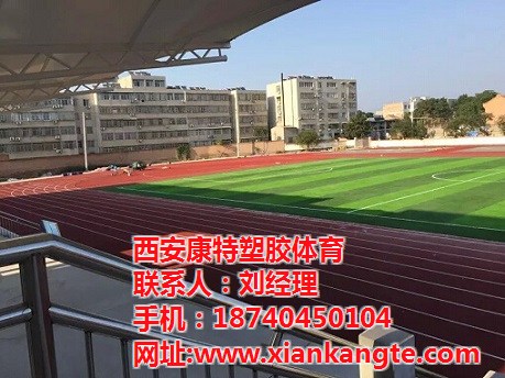 西安康tg應(yīng)環(huán)保塑膠跑道材料通過上海檢測合格原始圖片2