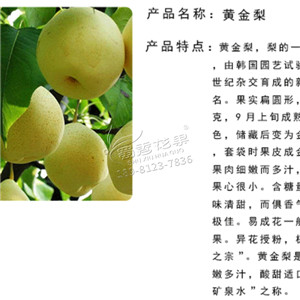 李子嫁接時間