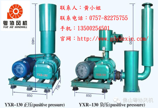 YXR-130型三葉羅茨鼓風(fēng)機(jī)