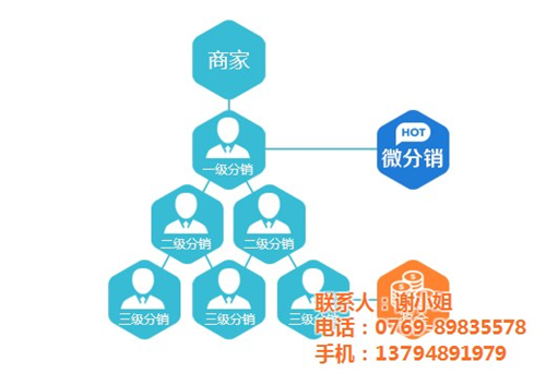 專業分銷系統_小程序分銷_分銷系統專業服務茗荃科技(查看)