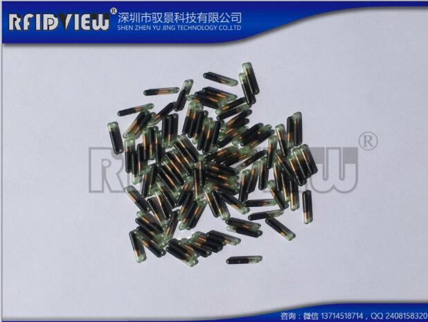 寵物注射器套裝玻璃管芯片