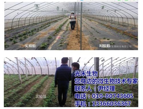 河北生物有機肥批發|生物有機肥|北京光禾生物(圖)