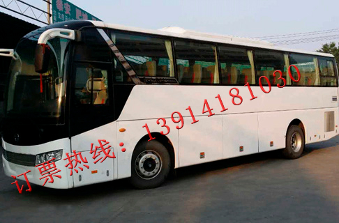 張家港到鶴壁客車13914181030 張家港到鶴壁汽車