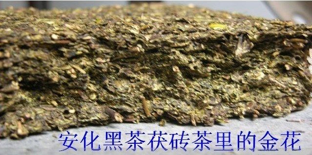 “輕輕茶”首次招募微商加盟，4000億級消費市場等你發(fā)掘！