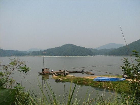 蘇州優質陽澄湖大閘蟹養殖供應  _銷售陽澄湖大閘蟹養殖