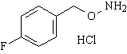 4-氟芐氧胺鹽酸鹽[51572-89-5]