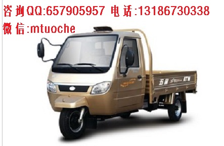  供應(yīng)福田五星單缸全封閉貨運(yùn)車250ZH-2(JC) 三輪摩托車農(nóng)用車