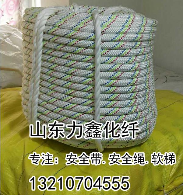 廠家批發(fā)尼龍編織繩 35樓逃生繩原始圖片3