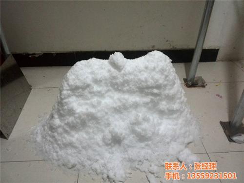金華雪雕_廈門市啟明星_雪雕工程
