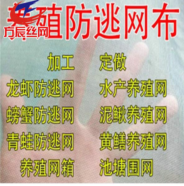 宜州水箱防蟲網(wǎng)|方辰絲網(wǎng)