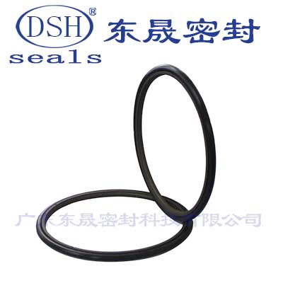 佛山密封件批發(fā) 孔用旋轉(zhuǎn)格來(lái)圈DNS密封圈產(chǎn)品