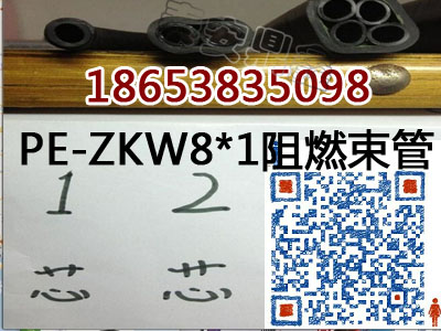 新疆PE-ZKW8*1束管单管价格